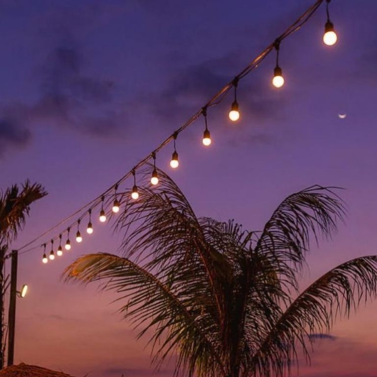 Light Up Your Yard with String Lights