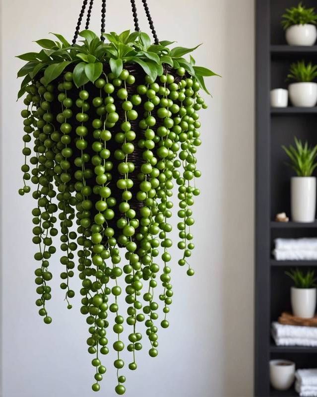 String of Pearls Basics