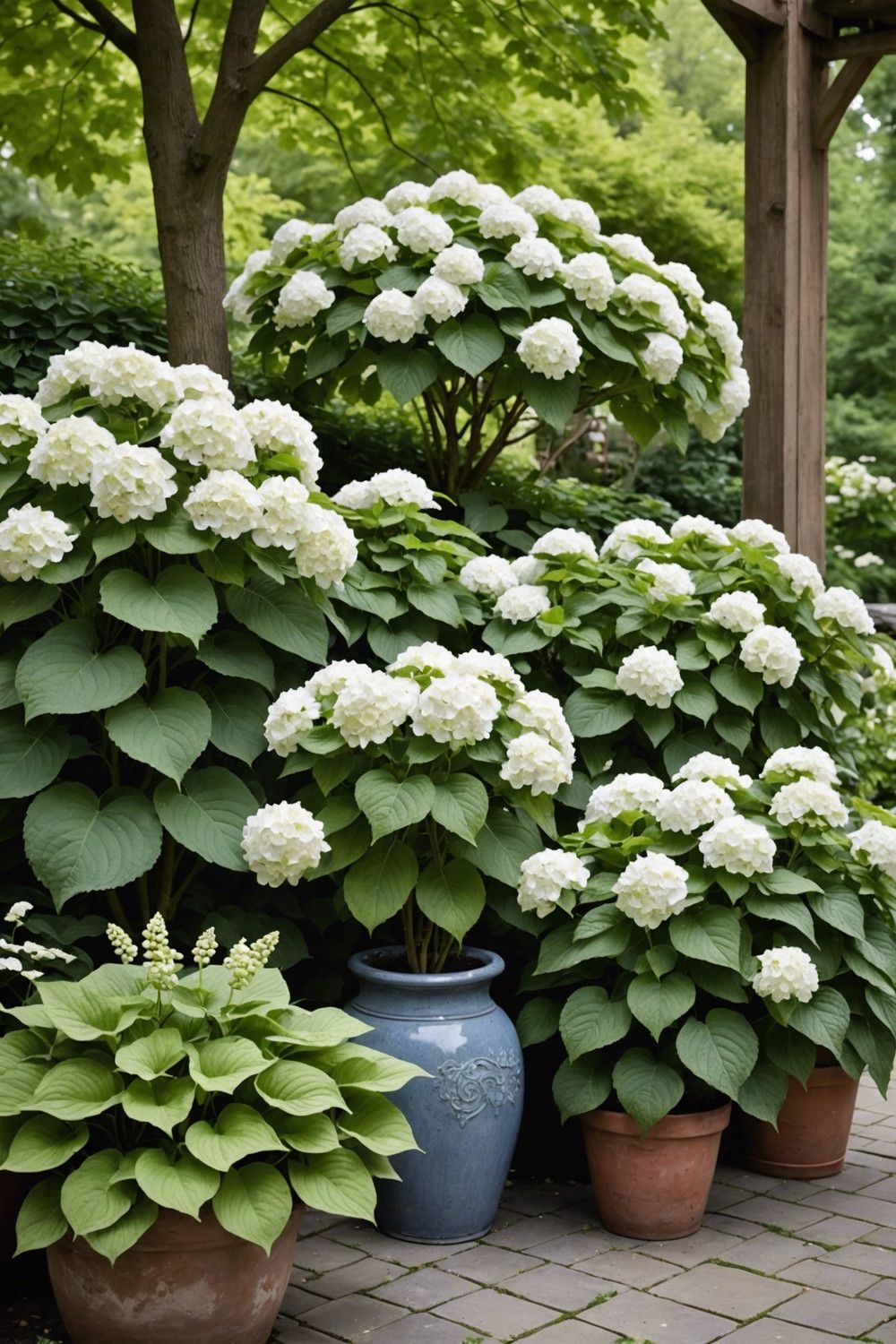 Eclectic Pairing of Oakleaf Hydrangeas and Unusual Hostas