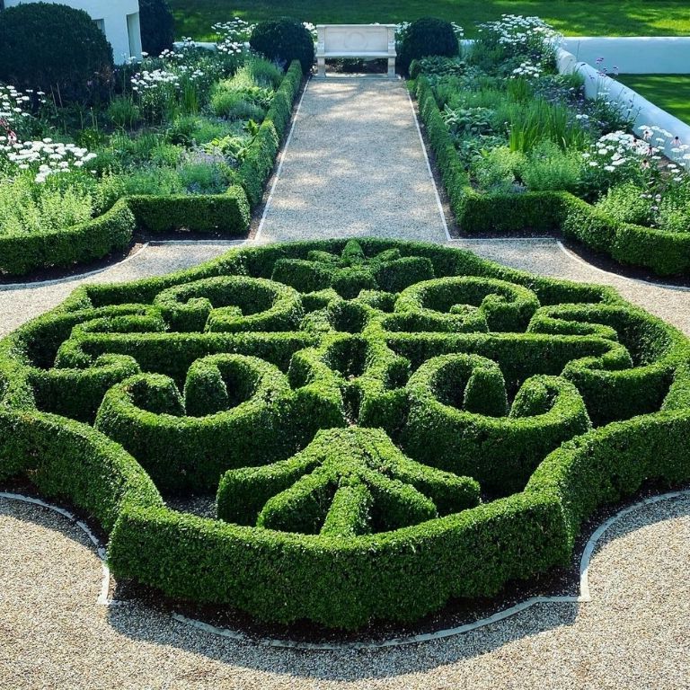 15+ Fresh Boxwood Landscaping Designs - photo 8