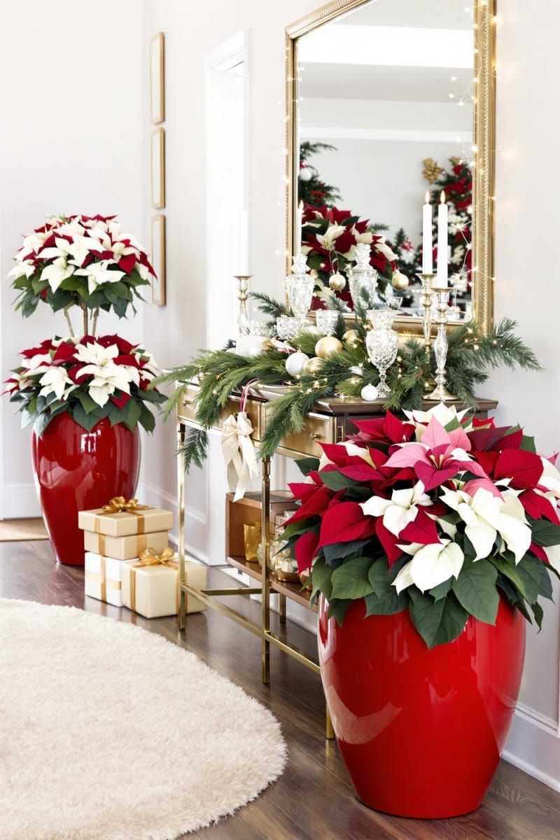 6. Red Poinsettias in Glossy Pots by the Door - photo 3