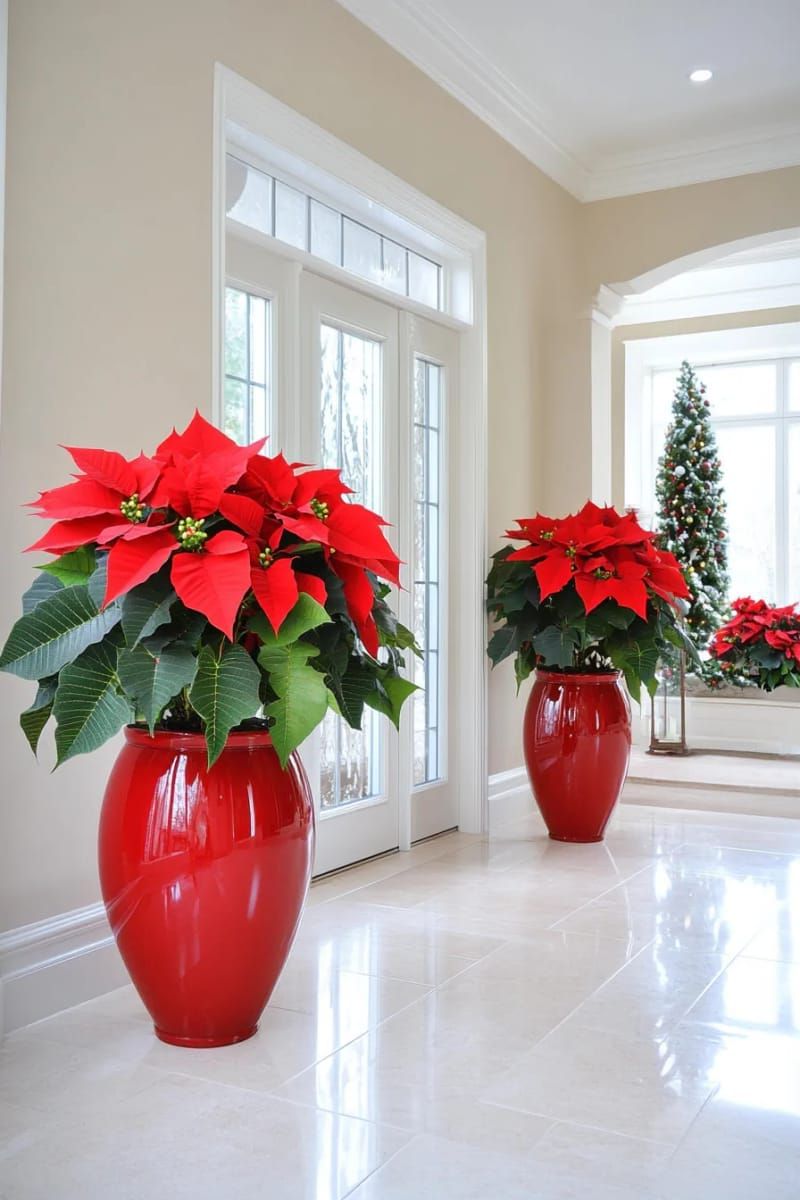 6. Red Poinsettias in Glossy Pots by the Door - photo 2