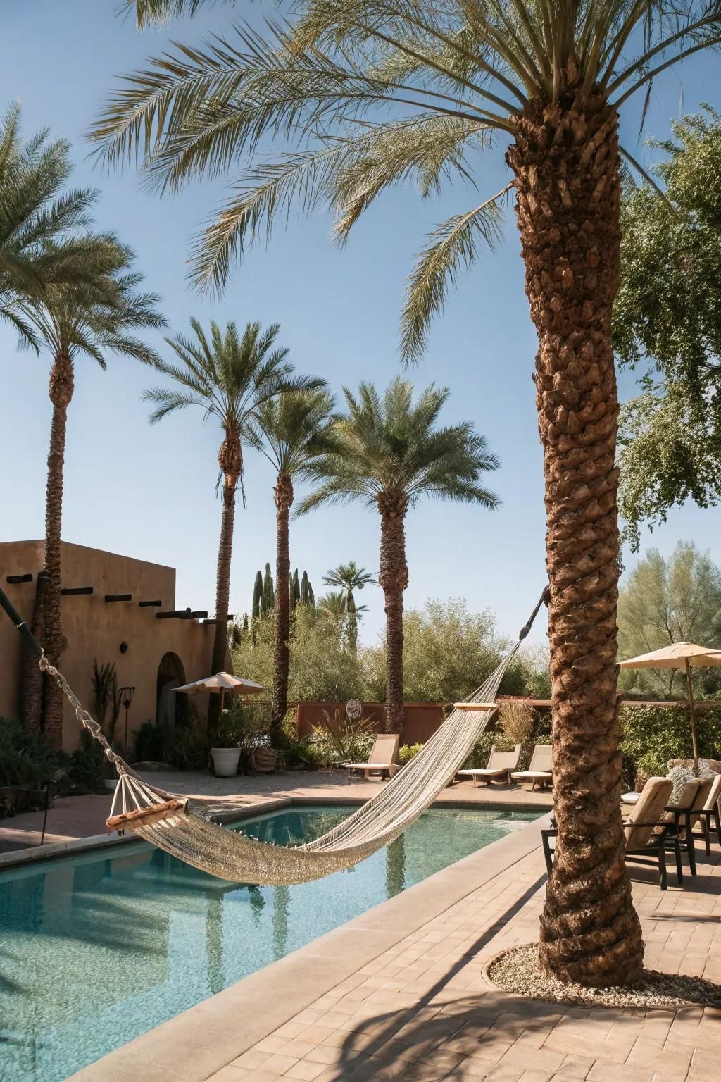 Hang Hammocks for Easy Relaxation