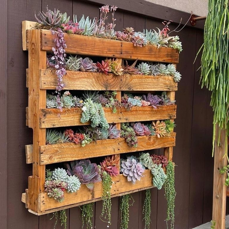 Build a Vertical Garden from an Old Pallet