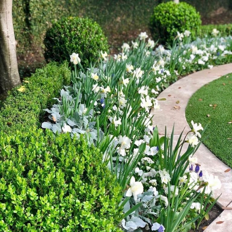 15+ Fresh Boxwood Landscaping Designs - photo 7