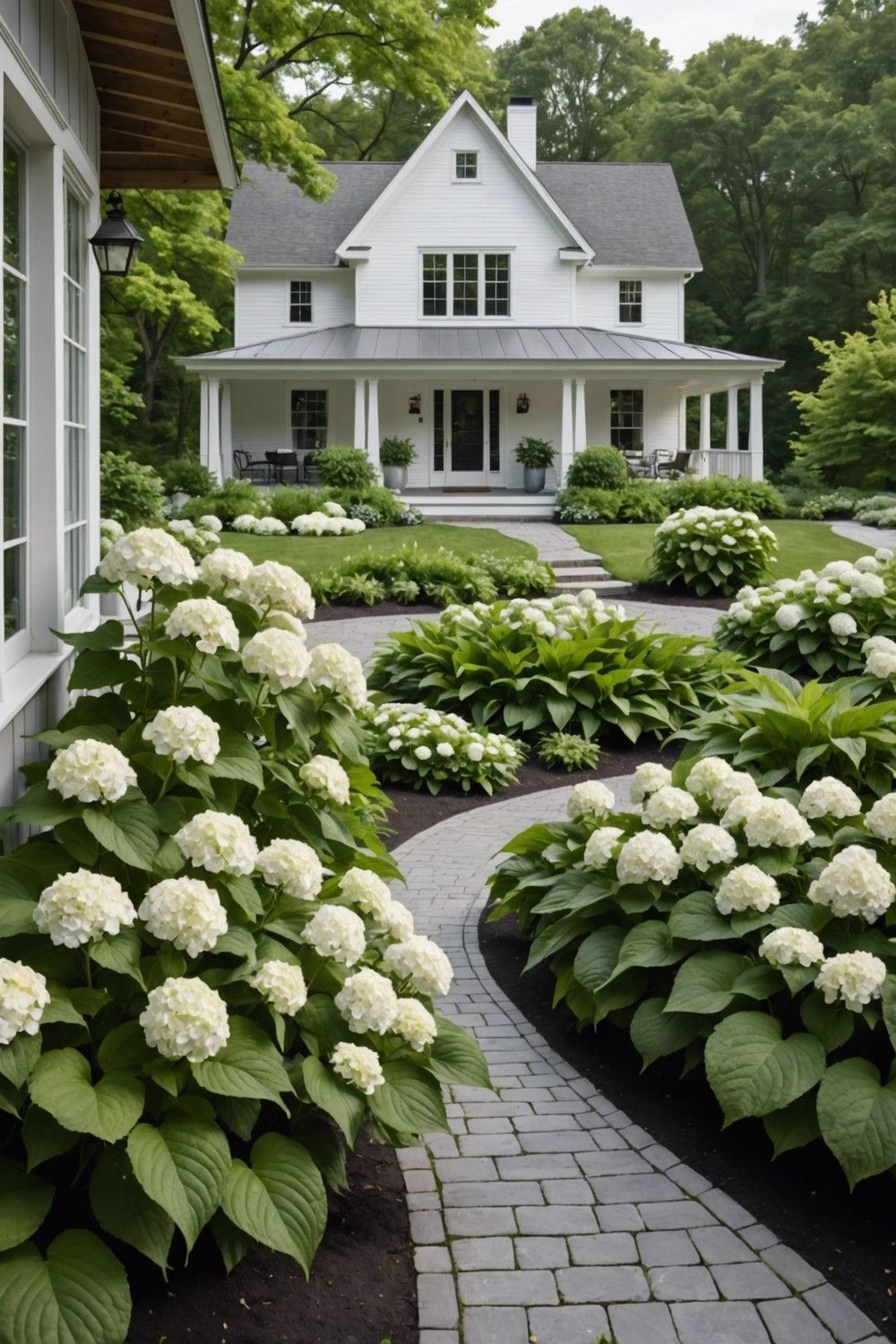 Farmhouse-Style Pairing of Panicle Hydrangeas and Giant Hostas
