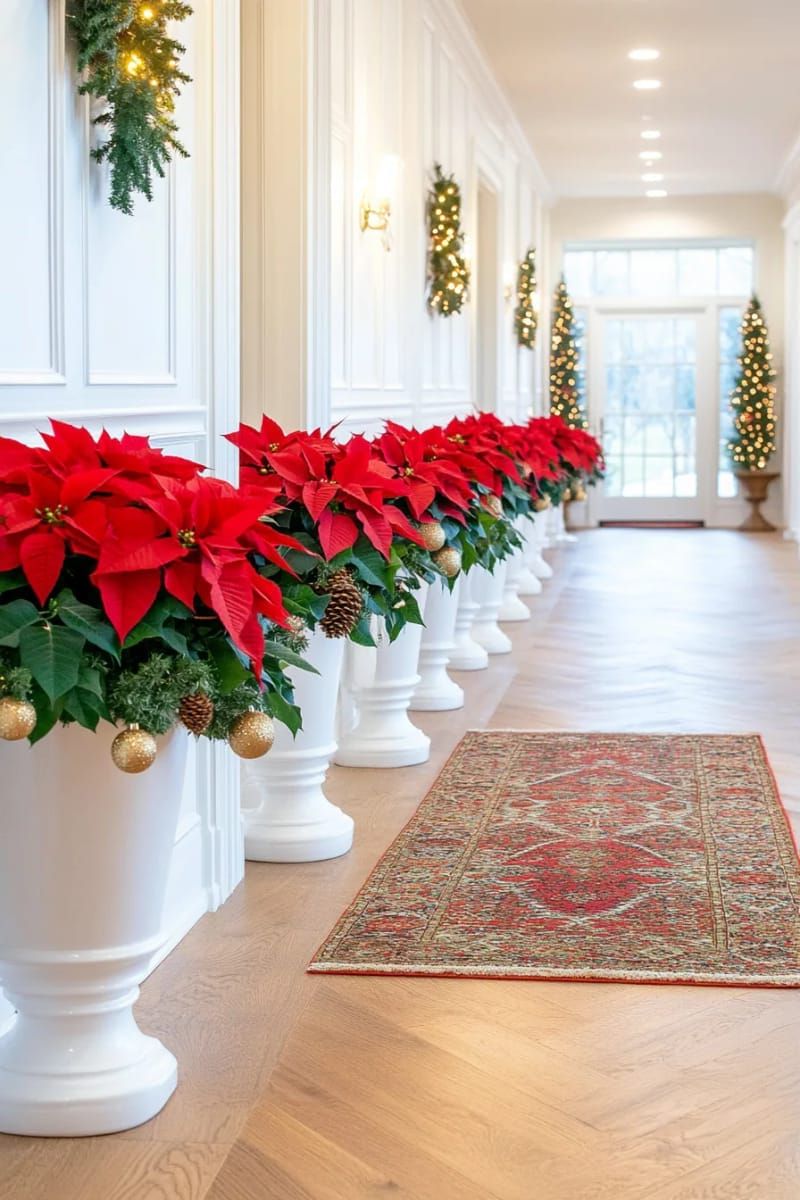 10. Glossy Potted Poinsettias Along the Hallway - photo 2