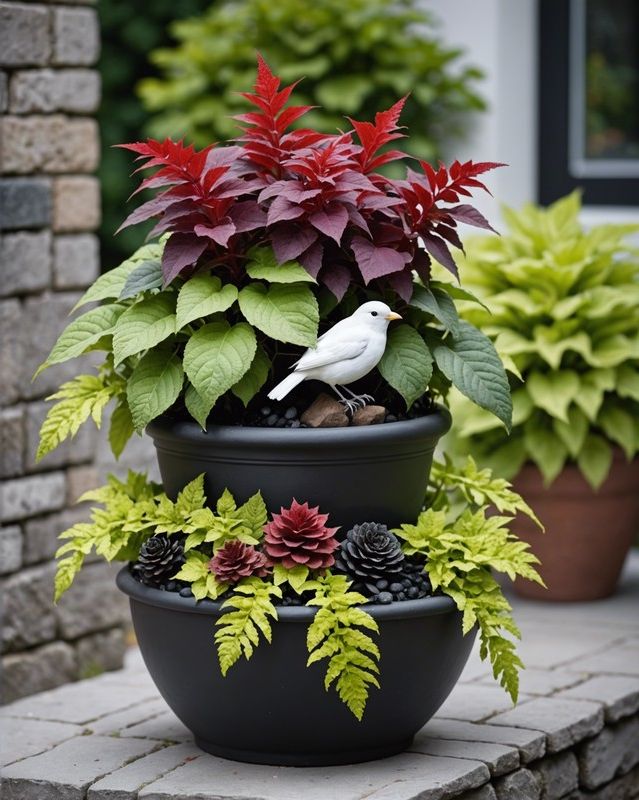 Black and White Coleus Container Design