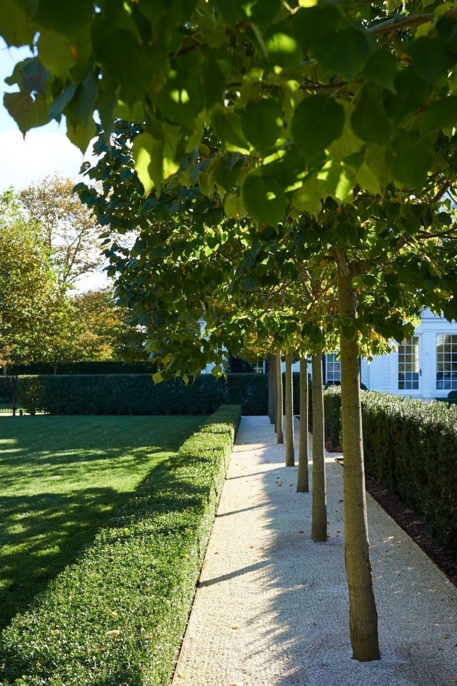 15+ Fresh Boxwood Landscaping Designs