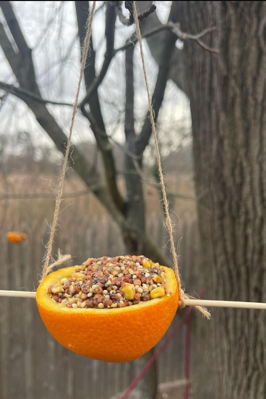 Make Your Own DIY Bird Feeders