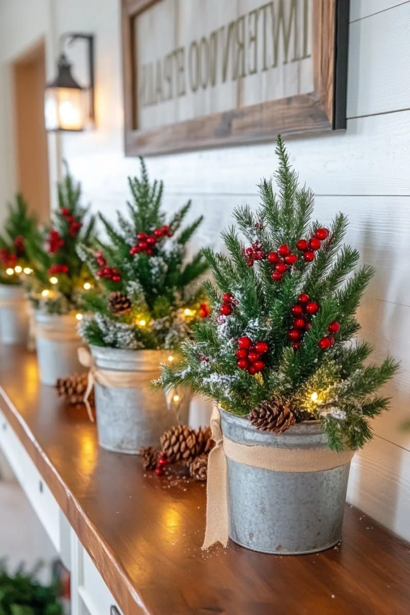 10. Mini Christmas trees in rustic metal buckets