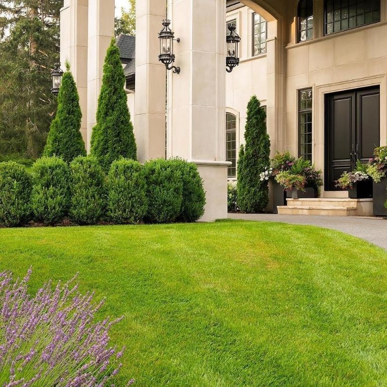 15+ Fresh Boxwood Landscaping Designs - photo 5