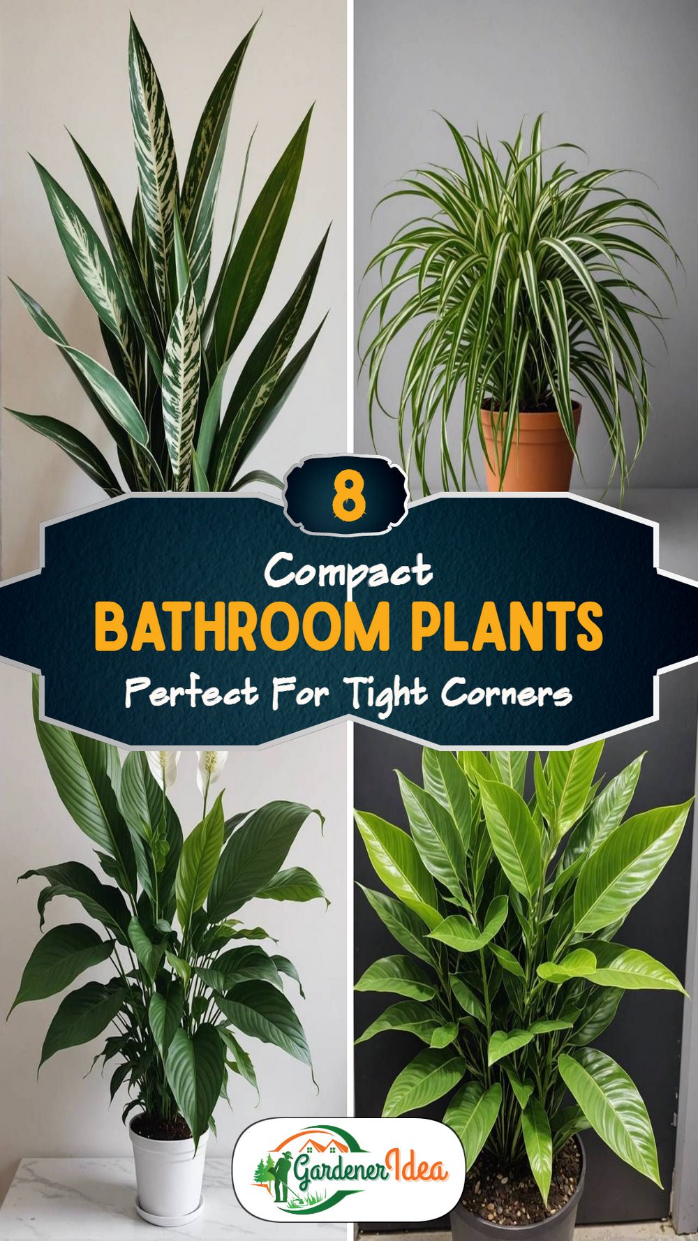 8 Compact Bathroom Plants That Love Tight Corners