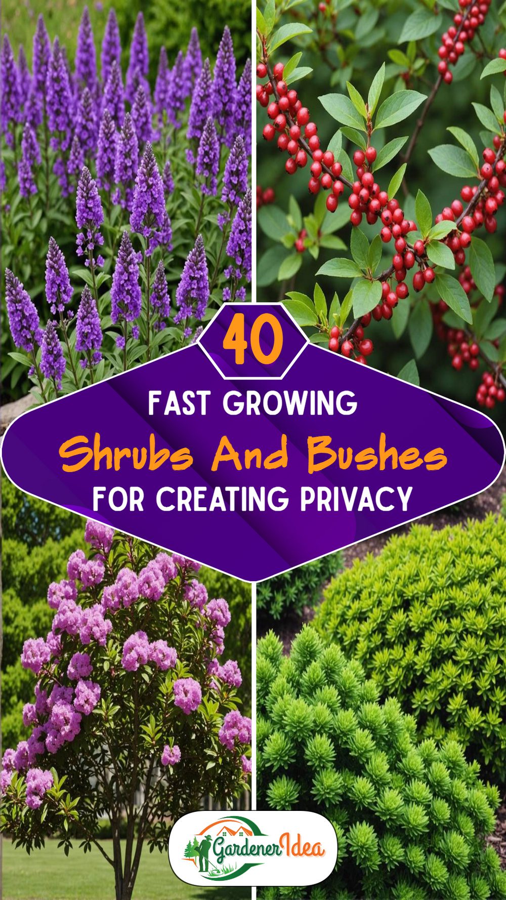 40 Fast Growing Shrubs and Bushes for Instant Privacy