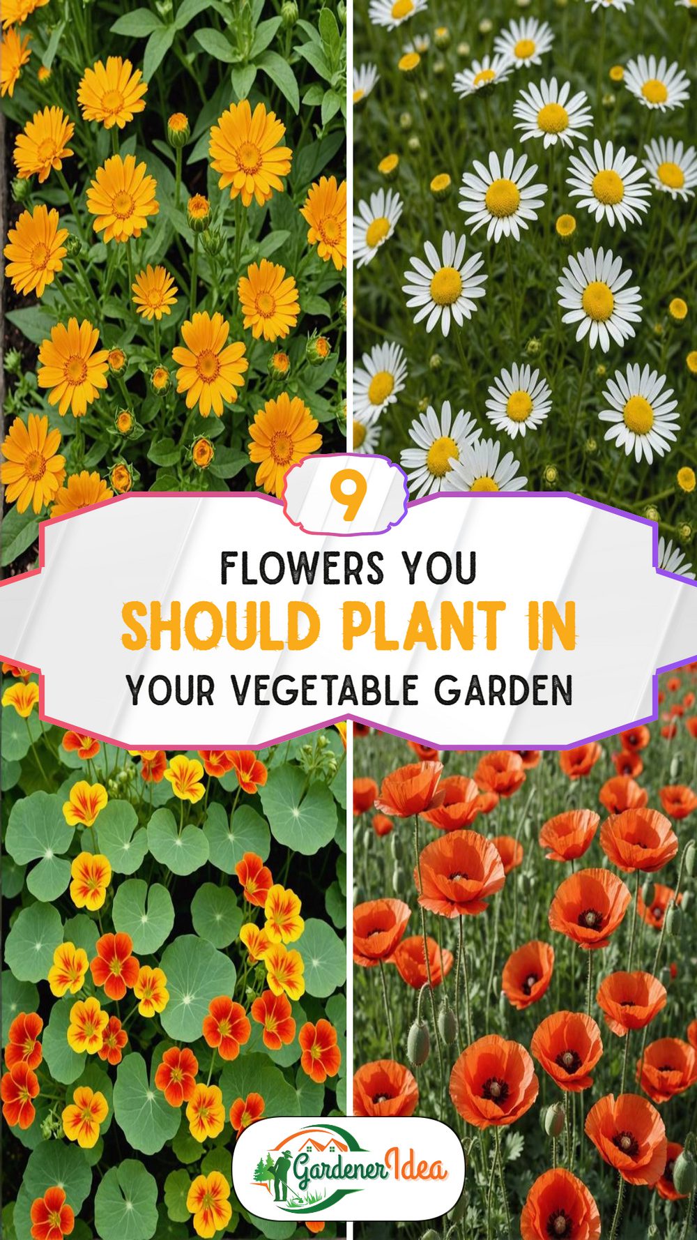 9 Flowers to Plant in Your Vegetable Garden for Bigger Yields