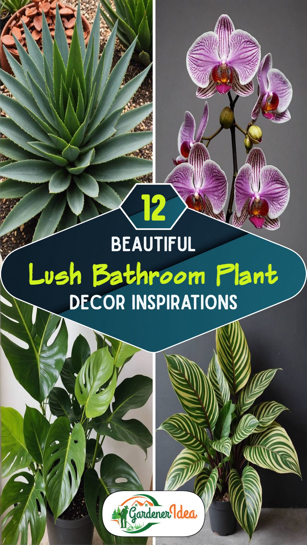 12 Lush Bathroom Plant Decor Ideas to Try at Home
