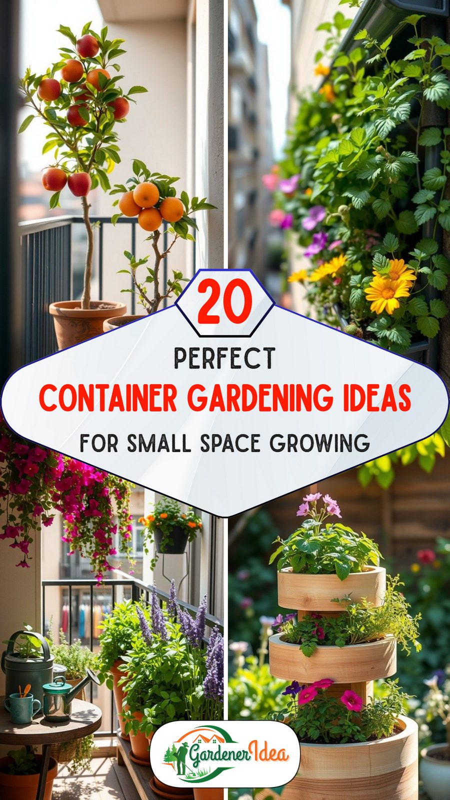 20 Container Gardening Ideas for Small Space Growing