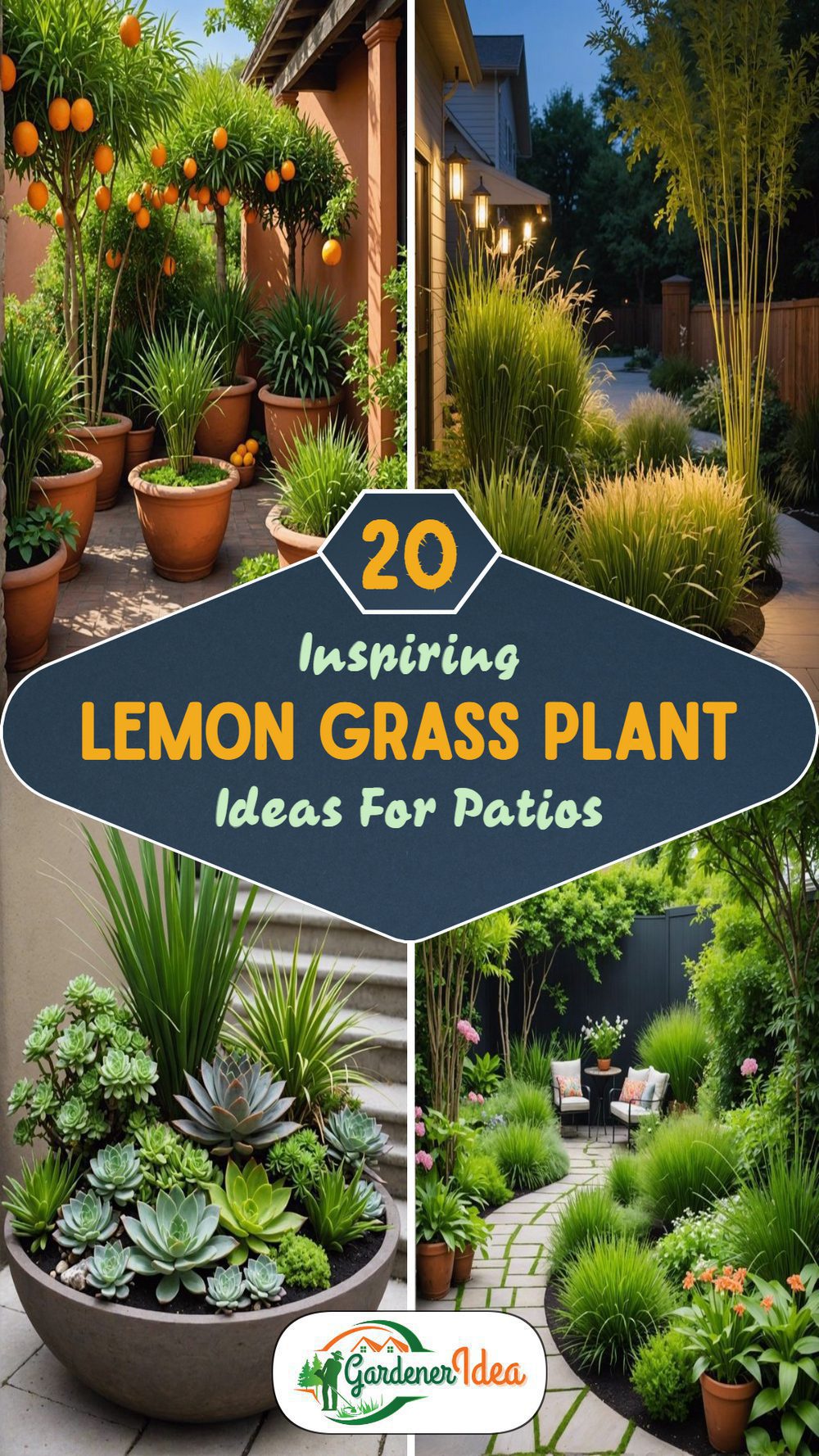 20 Lemon Grass Plant Ideas for Patio Spaces