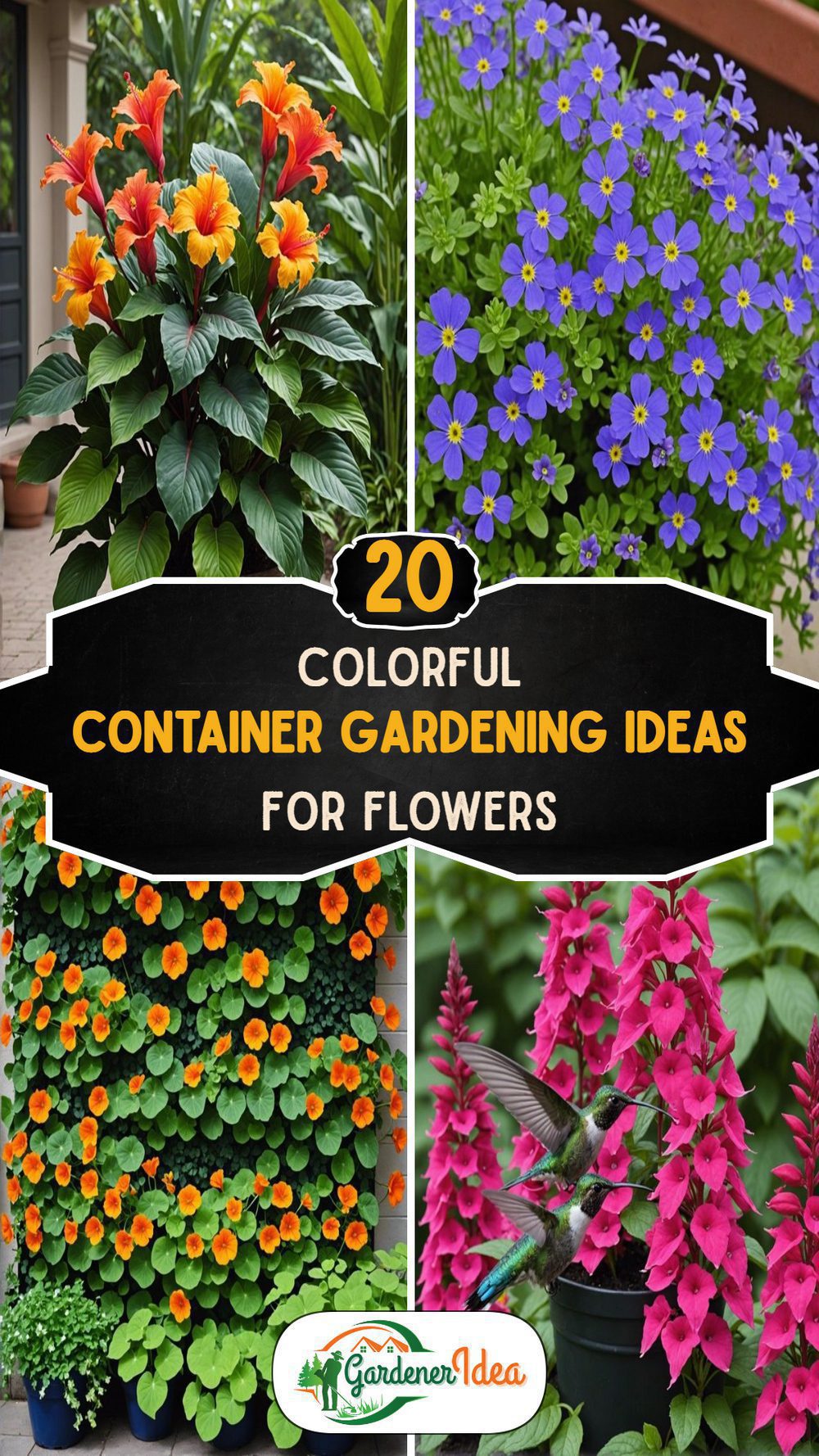 20 Colorful Container Gardening Ideas for Flower Lovers
