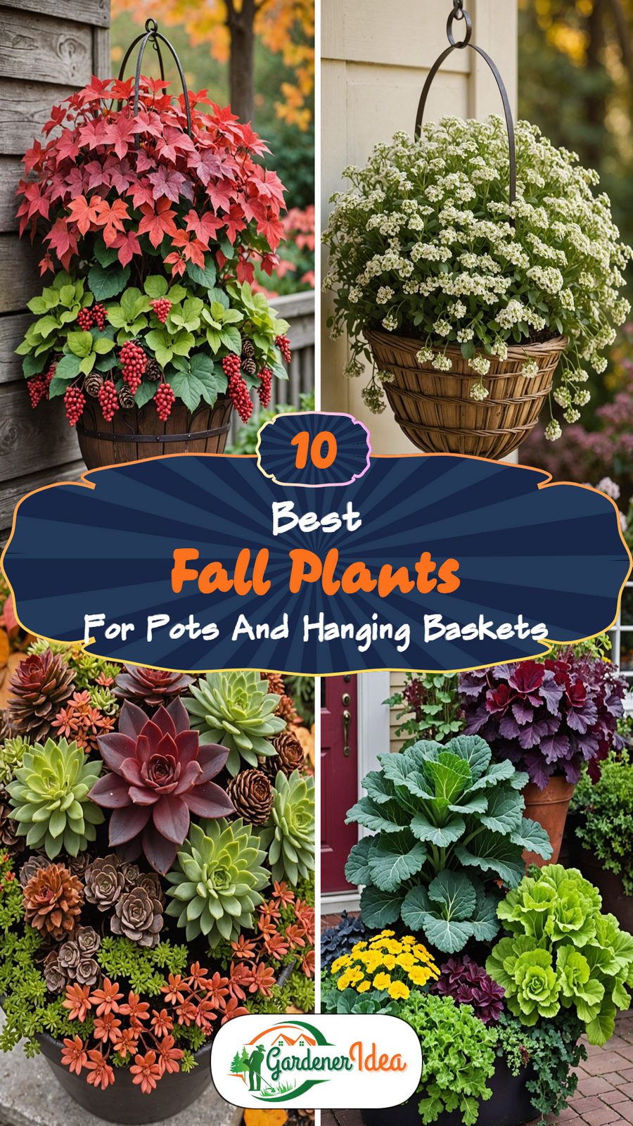 10 Best Fall Plants for Pots That Bring Instant Color