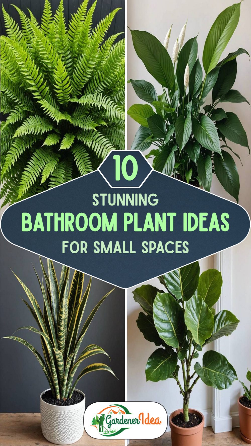 10 Bathroom Plant Ideas for Small Spaces That Thrive