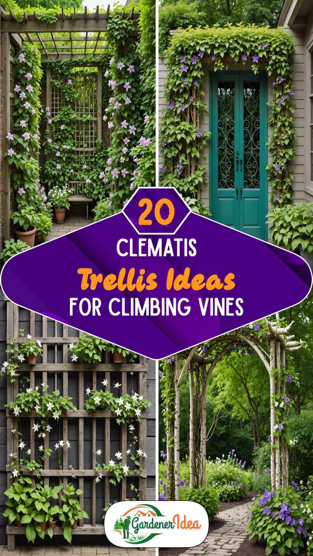 Clematis Trellis Ideas for Climbing Vines to Try