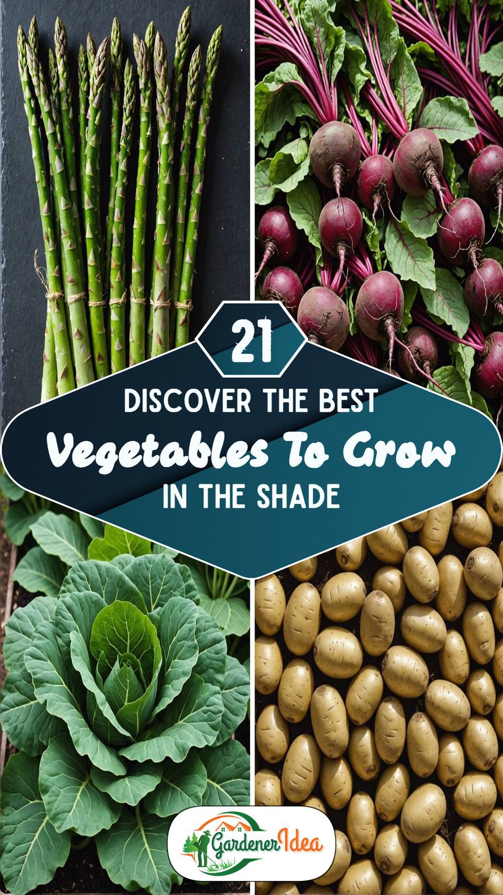 21 Vegetables to Grow in the Shade for a Low-Light Garden