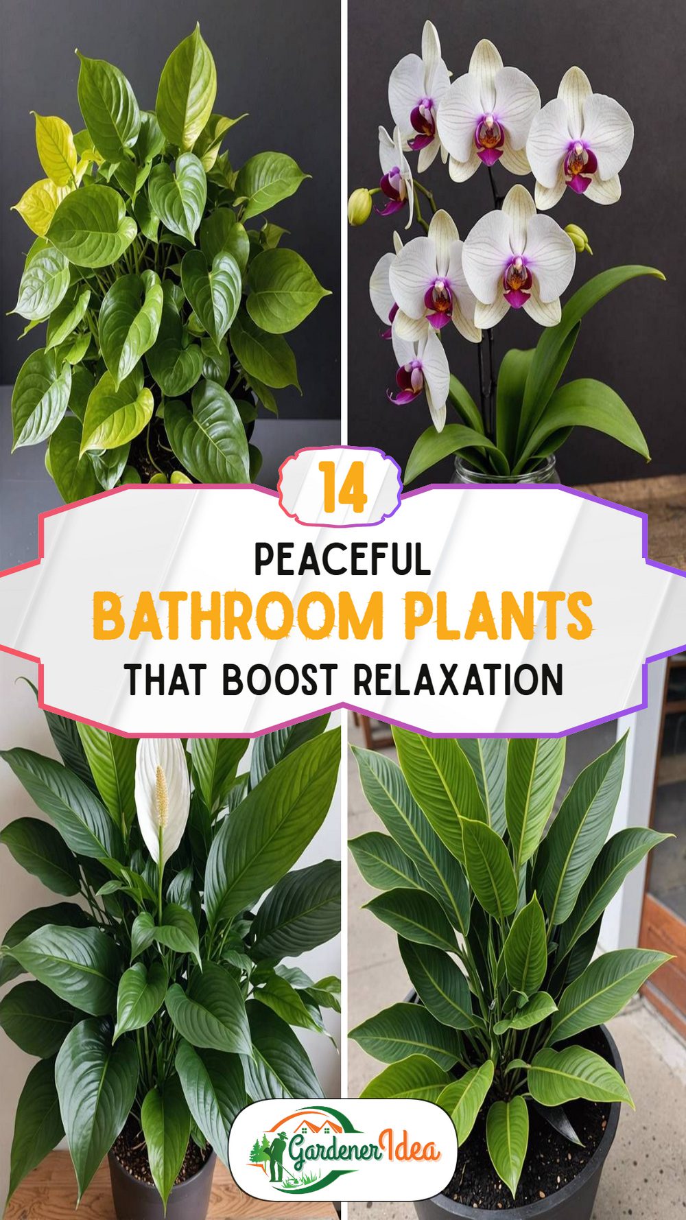 14 Bathroom Plants for Relaxation and a Calmer Soak
