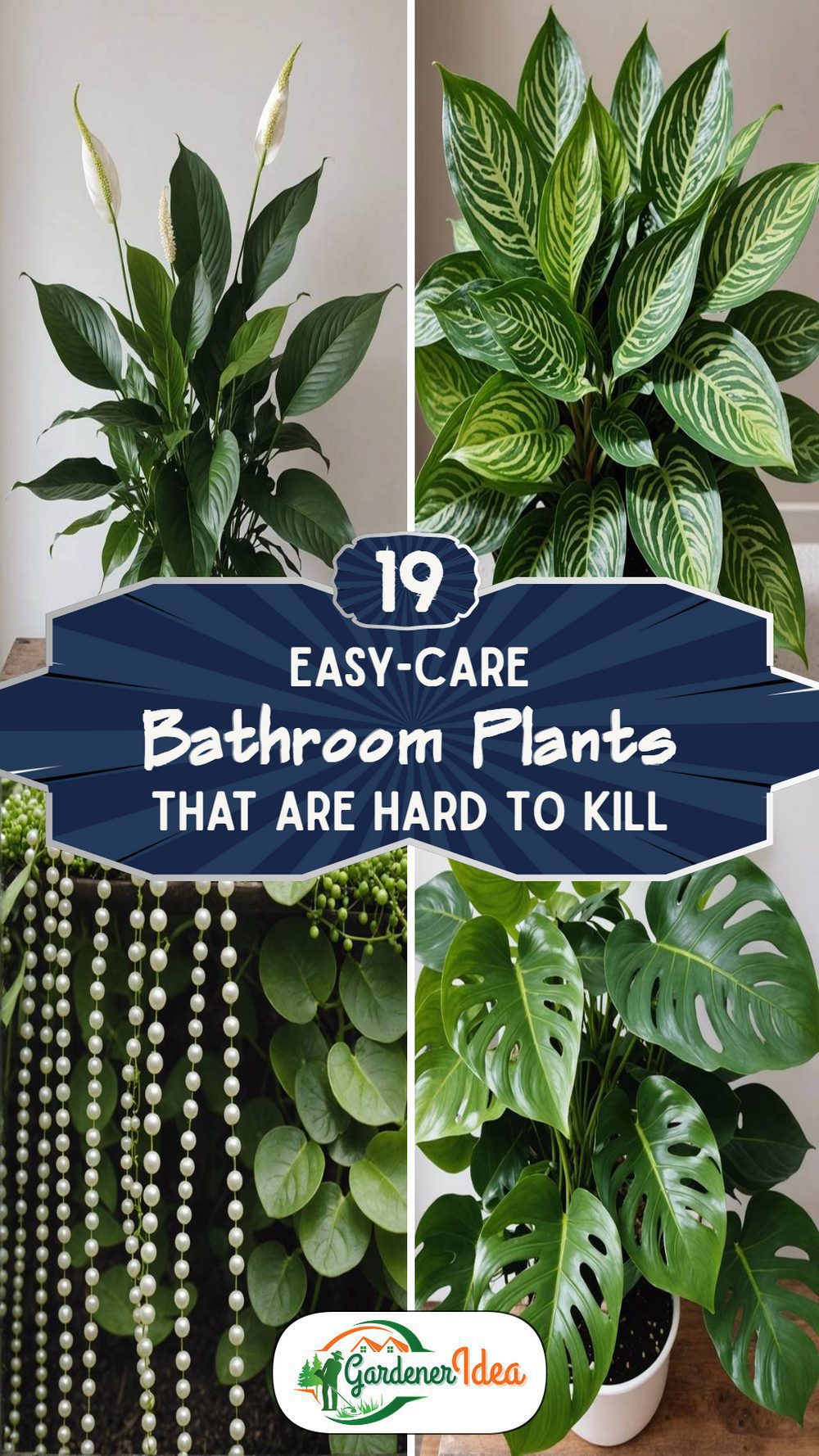 19 Bathroom Plants Nearly Impossible to Kill