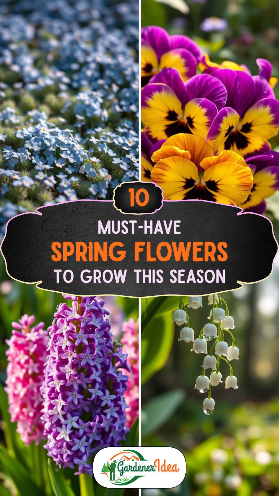 10 Spring Flowers Worth Growing This Season