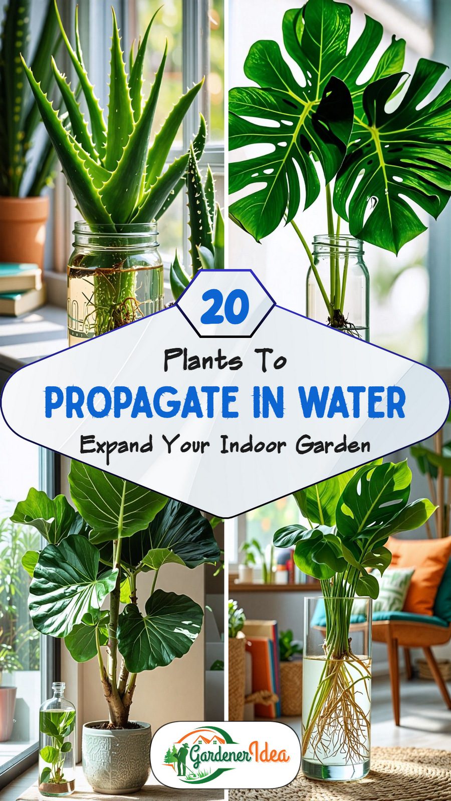 20 Plants to Propagate in Water for Easy Roots