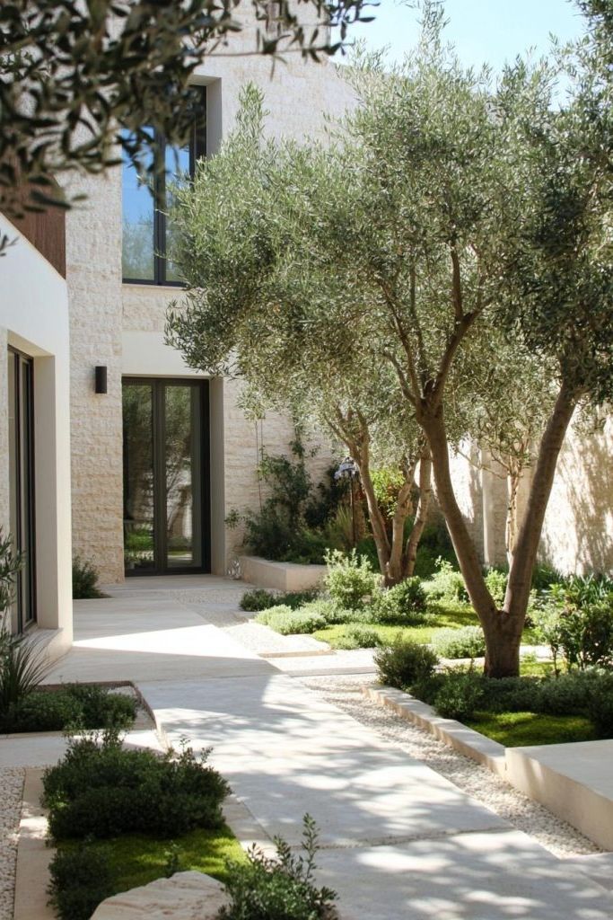 Mediterranean Olive Tree Gardens - photo 2