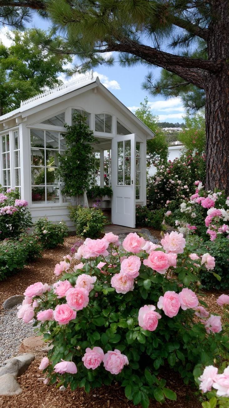 13. Vintage Roses Framing a Garden Greenhouse