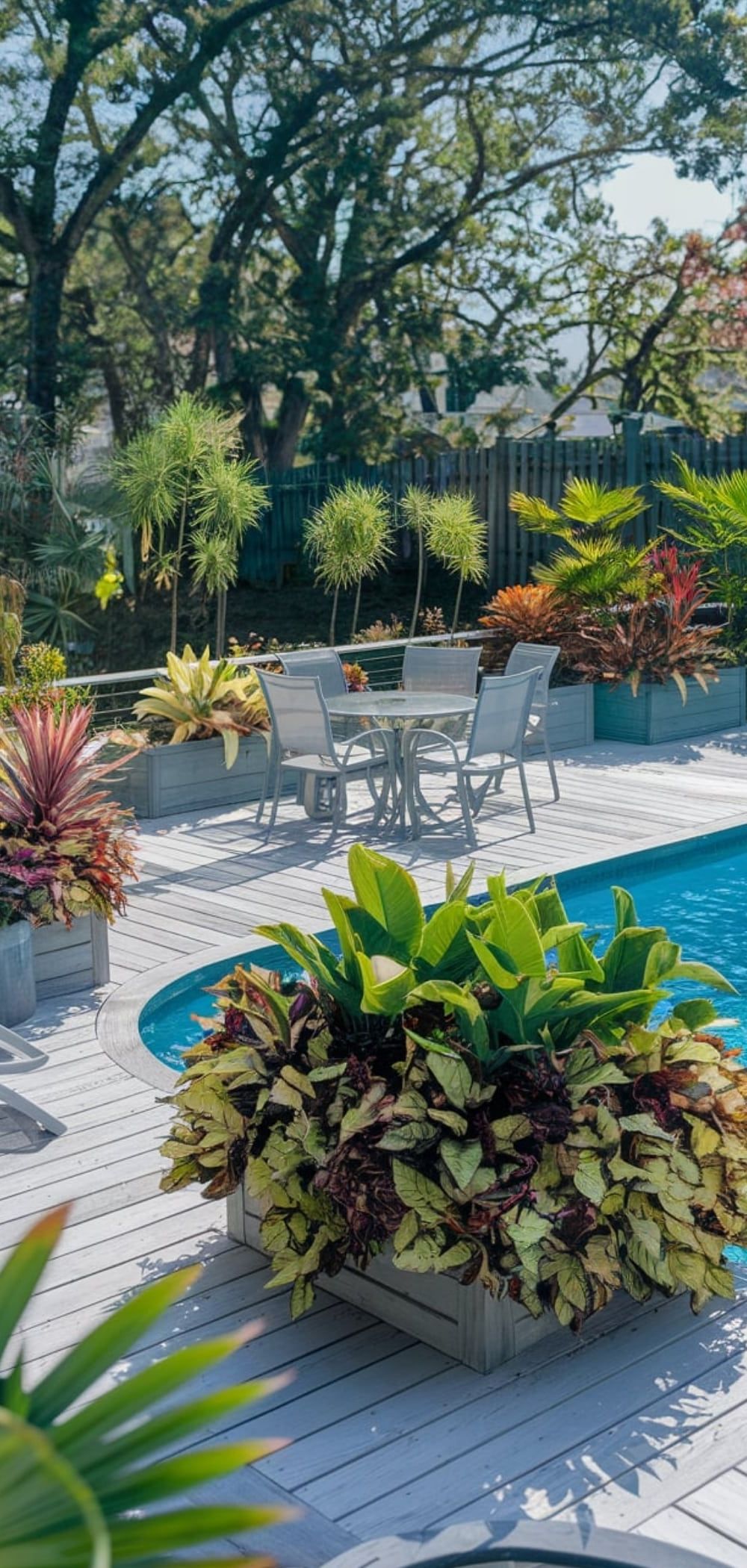 8. Tropical Container Gardens for Your Pool Deck