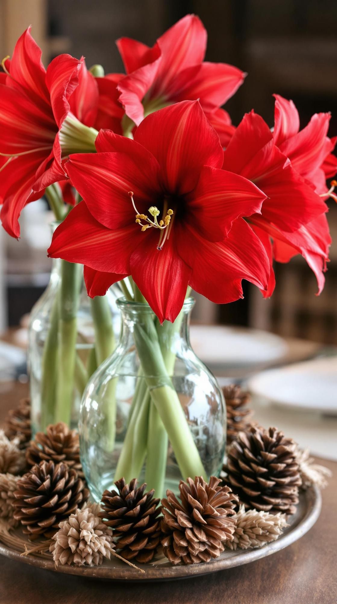 2. Amaryllis Centerpieces for Winter Elegance - photo 2