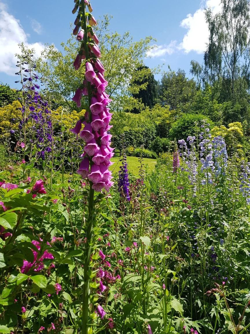 12. Botanical Oasis in Full Bloom - photo 2