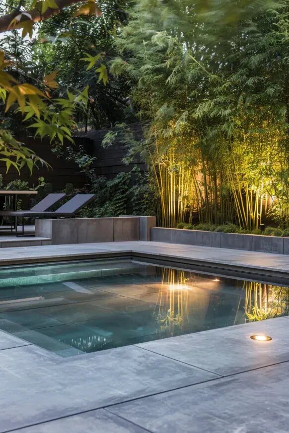 Zen Garden Plunge Pool With Bamboo Screening